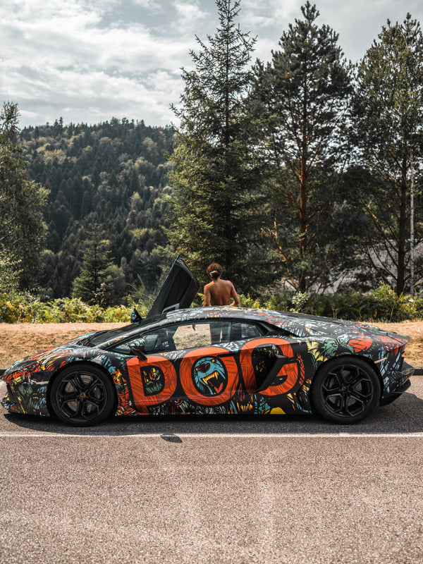 lamborghini aventador